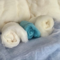 paplangyapju_ausztral_kategoria