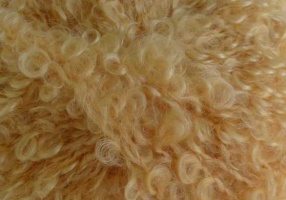 p620-boucle-fonal-szoke-25g-1.jpg